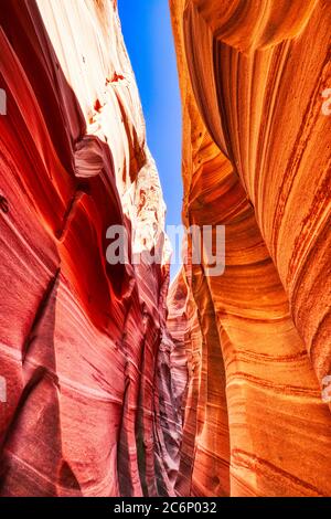 Hidden Slot Canyon dans la terre de Grand Staircase Escalante National Monument, Utah, États-Unis Banque D'Images