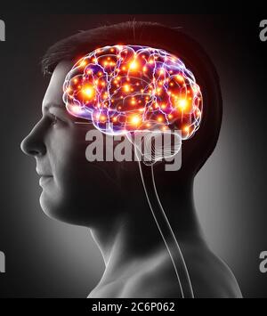 illustration médicale précise d'un cerveau actif mâle, rendue en 3d Banque D'Images