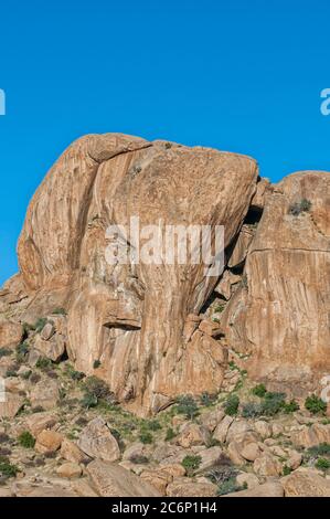 La tête d'éléphant roque à Ameib dans la région d'Erongo en Namibie Banque D'Images