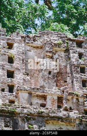 Figure sculptée près du haut du Palais du Roi. Structure 33 ruines mayas de Yaxchilan. Chiapas, Mexique. Image vintage prise sur film Kodak au début des années 1990. Banque D'Images