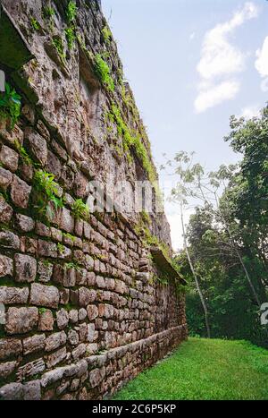 Détail de la construction du mur. Structure 33. Palais du roi. Ruines mayas de Yaxchilan. Chiapas, Mexique image Vintage prise sur film Kodak au début des années 1990. Banque D'Images