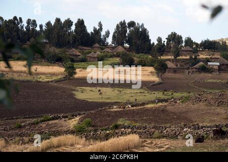 Un petit village agricole isolé et isolé du Tigrayan dans les Highlands du nord de l'Éthiopie. Banque D'Images