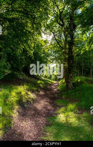 Antonine Wall près de Watling Lodge, Tamfourhill Road, Falkirk, Écosse. Banque D'Images