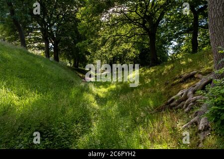 Antonine Wall près de Watling Lodge, Tamfourhill Road, Falkirk, Écosse. Banque D'Images