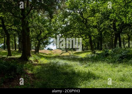 Une section du mur Antonine, à l'ouest du fort Rough Castle, un fort défensif romain près de Falkirk, Écosse, Royaume-Uni. Banque D'Images