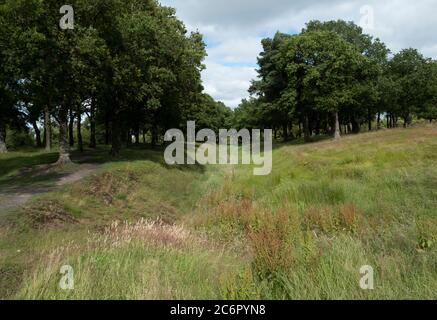 Une section du mur Antonine, à l'ouest du fort Rough Castle, un fort défensif romain près de Falkirk, Écosse, Royaume-Uni. Banque D'Images