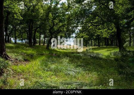 Une section du mur Antonine, à l'ouest du fort Rough Castle, un fort défensif romain près de Falkirk, Écosse, Royaume-Uni. Banque D'Images