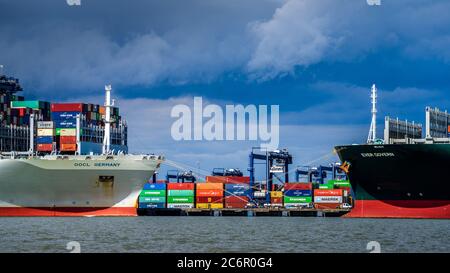 Expédition de conteneurs UK - les conteneurs d'expédition sont chargés et déchargés sur le quai au port de Felixstowe à partir des navires toujours gouverner et OOCL Allemagne. Banque D'Images