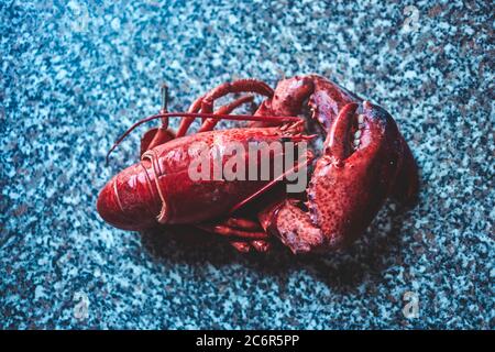 gros plan d'un homard cuit sur une table Banque D'Images