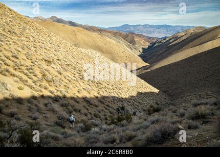 Quatre randonneurs mâles descendent dans Deadhorse Canyon, une partie du sentier de randonnée Cottonwood Canyon-Marble Canyon dans le parc national de la Vallée de la mort Banque D'Images