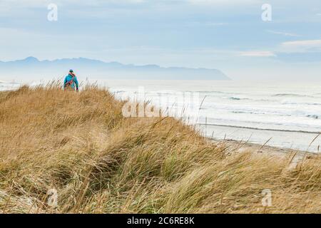 Une femme qui fait de la randonnée sur les dunes de sable herbeuses du parc national de fort Stevens le long de la côte du Pacifique, Oregon, États-Unis. Banque D'Images
