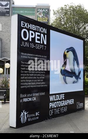 Un panneau extérieur faisant la promotion de l'exposition de photos du photographe de la faune de l'année St le Royal, BC Museum, au centre-ville de Victoria, en Colombie-Britannique, à Canad Banque D'Images