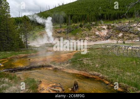 Sources d'eau chaude et geysers (y compris Blood Geyser) le long du sentier Artists Paint pots dans le parc national de Yellowstone, Wyoming Banque D'Images