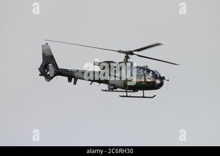 ZB689, une Gazelle Westland AH1 de l'Armée de l'air, à l'Aéroport International de Prestwick au cours de l'exercice Joint Warrior 14-2. Banque D'Images