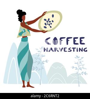 Une femme non identifiée cultivateur de café récolte des baies de café dans la ferme de café Illustration de Vecteur