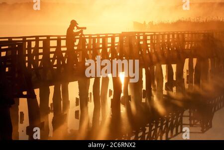 Bad Buchau, Allemagne. 12 juillet 2020. Peu après le lever du soleil, les gens se tiennent dans le brouillard matinal, coloré en jaune par le soleil, sur la jetée de Federsee, longue de 1.5 kilomètres, sur Federsee, pour prendre des photos et filmer. Federsee près de Bad Buchau dans la haute Souabe (district de Biberach) est le deuxième plus grand lac du Bade-Wurtemberg avec une superficie de 1.4 kilomètres carrés. Crédit : Thomas Warnack/dpa/Alay Live News Banque D'Images