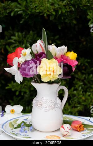 bouquet coloré de tulipes et de narcisse dans un vase Banque D'Images