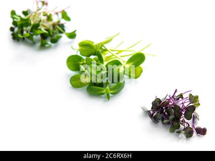 Ensemble de microlégumes frais et sains de différents légumes sur fond blanc Banque D'Images