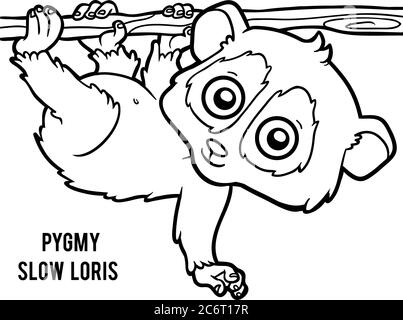 Livre de coloriage pour enfants, Pygmy Slow loris Illustration de Vecteur