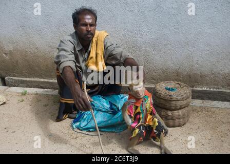 Communiqué de modèle no : 006.Anawattege Sinnasami S., 39 ans, un charmeur de serpent avec Snake et le singe effectue pour les publics qu'ils vivent de la rémunération, le 16 août 2008, à Colombo, Sri Lanka. Banque D'Images