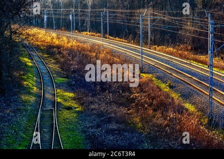 Voies ferrées dans la forêt au coucher du soleil, infrastructure de transport ferroviaire à Varsovie, Pologne Banque D'Images