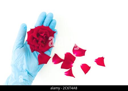 Concept épidémique avec la main dans le bas et la fleur rose. Pose à plat. Vue de dessus Banque D'Images