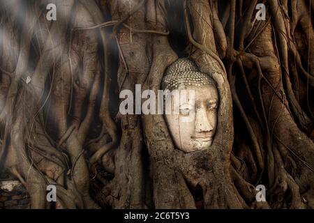 Tête de Bouddha antique surcultivée par les racines de l'arbre de Bodhi à Wat Mahathe, Parc historique d'Ayutthaya, site du patrimoine mondial, Phra Nakhon si Ayutthaya. Banque D'Images