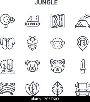 ensemble de 16 icônes de ligne vectorielle de concept jungle. icônes 64x64 à trait fin telles que couteau suisse, papillon, cascade, jaguar, feuilles, jeep, feuille, singe, came Illustration de Vecteur