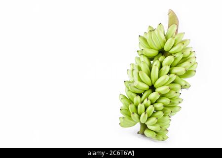 Paquet de banane vierge fraîche sur fond blanc saine Pisang Mas Banana fruits alimentation isolée Banque D'Images