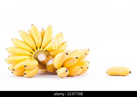 Lady Finger banane et main de bananes dorées sur fond blanc saine Pisang Mas Banana fruits alimentation isolée Banque D'Images