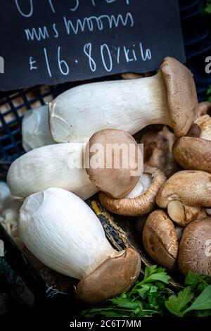 Champignons à vendre sur un marché Banque D'Images