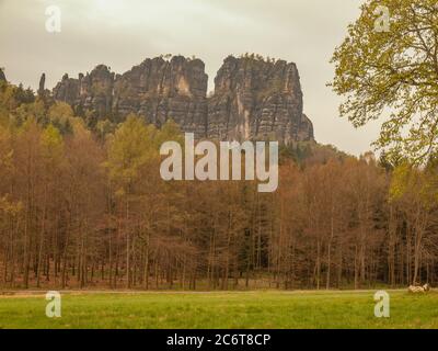 Vue sur la schrammstéine et les forêts. Station de grimpeurs populaire. Fissures profondes dans les roches ne par forte érosion par la pluie. Banque D'Images