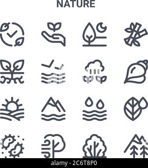 ensemble de 16 icônes de lignes vectorielles de concept de nature. icônes 64x64 à traits fins telles que l'écologie, la plante, la coquille, l'eau, le vent, la montagne, le bush, le sprout, le bambou Illustration de Vecteur