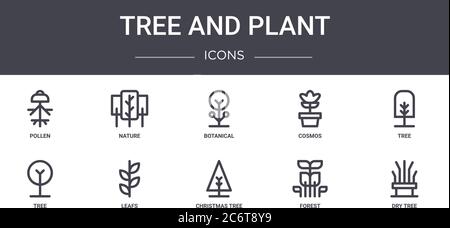ensemble d'icônes de la ligne de concept d'arbre et de plante. contient des icônes utilisables pour le web, le logo, ui/ux tels que la nature, cosmos, arbre, arbre de noël, forêt, botanique sec Illustration de Vecteur