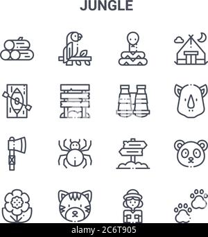 ensemble de 16 icônes de ligne vectorielle de concept jungle. icônes 64x64 à traits fins telles que perroquet, canoë, rhinocéros, , tigre, pattes, explorer, binoculaire, camping dix Illustration de Vecteur