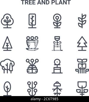ensemble de 16 icônes de lignes vectorielles de concept d'arbre et de plante. icônes 64x64 à traits fins telles que nain, arbre de noël, arbre de pin, fleur, tige, fleur, pollen, flo Illustration de Vecteur