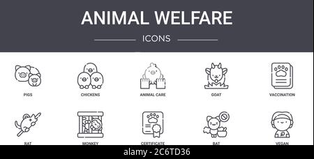 ensemble d'icônes de la ligne de concept de bien-être animal. contient des icônes utilisables pour le web, le logo, ui/ux tels que les poulets, la chèvre, le rat, le certificat, la chauve-souris, le vegan, la vaccination, a Illustration de Vecteur