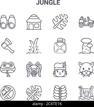 ensemble de 16 icônes de ligne vectorielle de concept jungle. icônes 64x64 à traits fins telles que hutte, hache, arbre, origine, feuille, cascade, plante, cantine, buggy Illustration de Vecteur