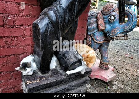Deux chats jouant au pied d'une statue à fort Kochi, Kerala. Inde. Banque D'Images