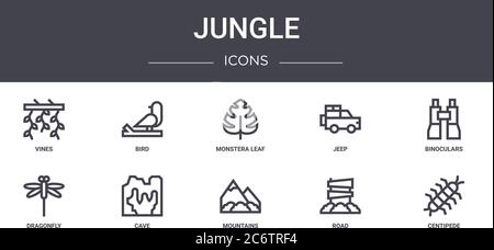 jeu d'icônes de ligne de concept de jungle. contient des icônes utilisables pour le web, le logo, ui/ux tels que oiseau, jeep, libellule, montagnes, route, centipede, jumelles, monst Illustration de Vecteur