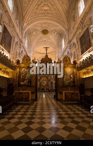 Intérieurs du monastère de notre-Dame de l'Assomption 'la Cartuja' Banque D'Images