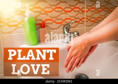 Texte d'écriture Plant Love. Photo conceptuelle un symbole d'amour émotionnel, de soin et de soutien a montré à d'autres procédures de lavage des mains pour la décontamination Banque D'Images