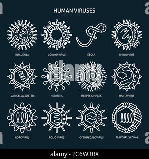 Icône de types de virus définie en style ligne sur fond sombre. Collection de symboles de cellules infectieuses. Illustration du vecteur de virus humains. Illustration de Vecteur