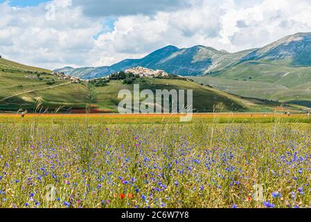 Le village de Castelluccio di Norcia détruit par le tremblement de terre de 2016 Banque D'Images