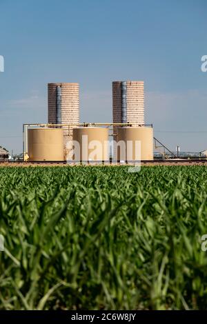 Kersey, Colorado - Silos se trouve à côté des réservoirs de stockage de pétrole sur une ferme de l'est du Colorado. Cette zone agricole a vu le développement important de pétrole, les revenus Banque D'Images