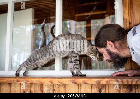 Un homme joue avec un chat tabby gris. Un homme et un chat touchent leurs fronts. Banque D'Images