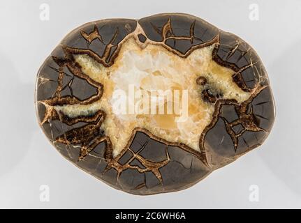 Septarian nodule, par Bruce montagne/Dembinsky photo Assoc Banque D'Images