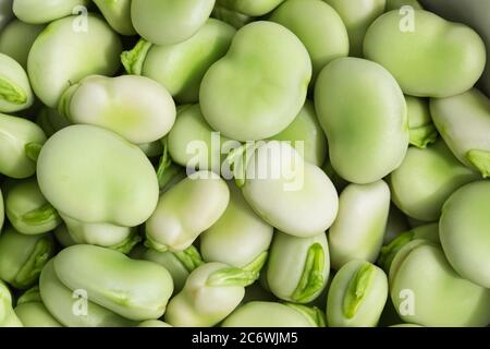 Gros plan sur les fèves, vert, cru et frais shehumés graines de Fava, plein cadre naturel fond Banque D'Images