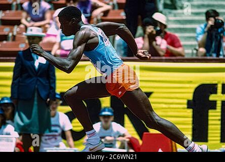 Carl Lewis (USA) en compétition aux épreuves de terrain et d'athlétisme américaines de 1984 Banque D'Images