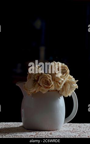 Roses blanches séchées dans un pot à lait blanc Banque D'Images